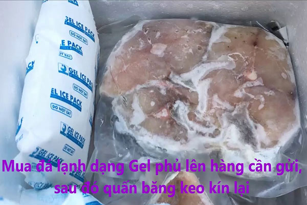 Gửi Hàng Đông Lạnh Đi Mỹ Từ Bình Dương Nhanh Chóng Và An Toàn