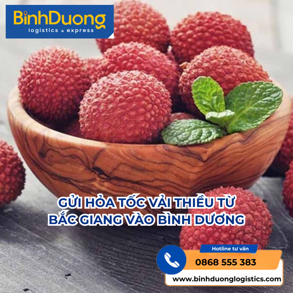 VẬN CHUYỂN HỎA TỐC VẢI THIỀU TỪ BẮC GIANG ĐI BÌNH DƯƠNG