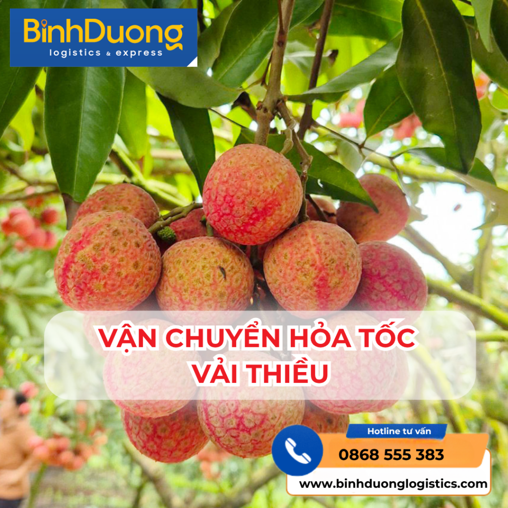 Gửi Hàng Hỏa Tốc Trái Cây – Vải, Mận: Lưu Ý Để Trái Luôn Tươi – Không Dập Nát