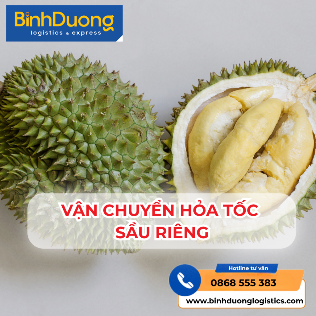 Gửi Hỏa Tốc Sầu Riêng – Giao Nhanh Từ 6h – Giữ Nguyên Độ Tươi