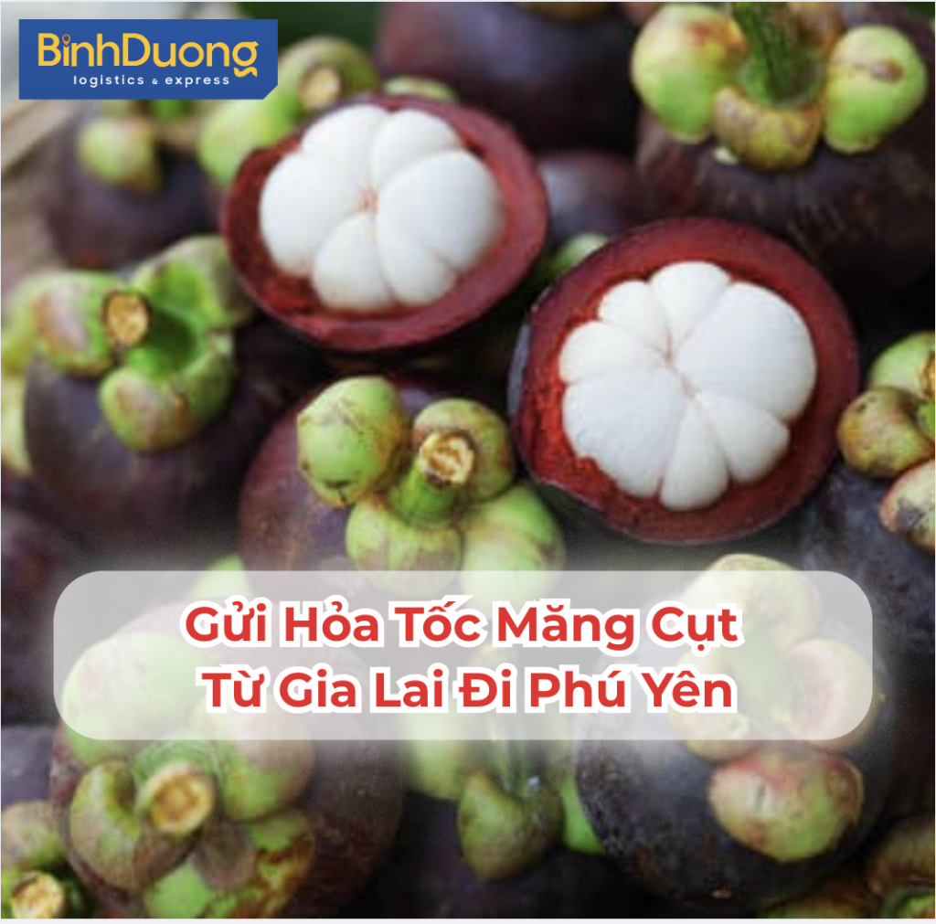 Gửi Hỏa Tốc Măng Cụt Từ Gia Lai Đi Phú Yên