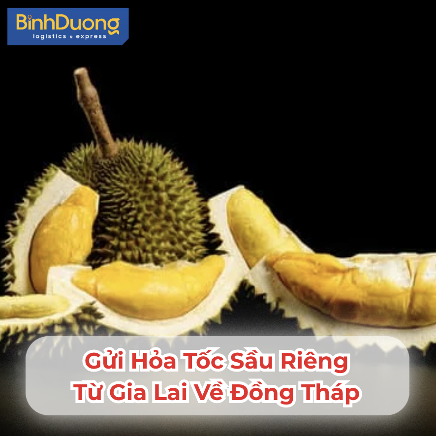 Gửi Hỏa Tốc Sầu Riêng Từ Gia Lai Về Đồng Tháp – Giao Trong Ngày, Đúng Múi, Đúng Vị
