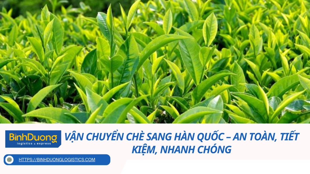 Vận Chuyển Chè Sang Hàn Quốc – An Toàn, Tiết Kiệm, Nhanh Chóng