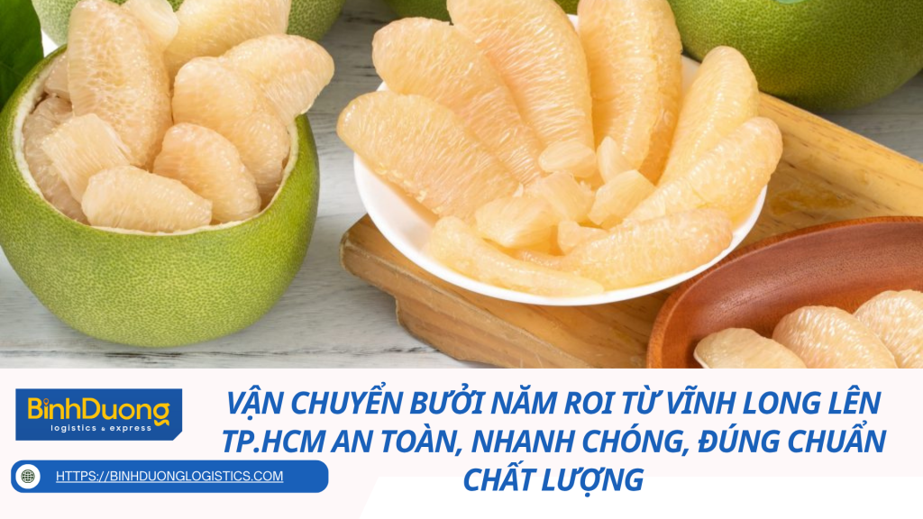 Vận chuyển bưởi Năm Roi từ Vĩnh Long lên TP.HCM an toàn, nhanh chóng, đúng chuẩn chất lượng