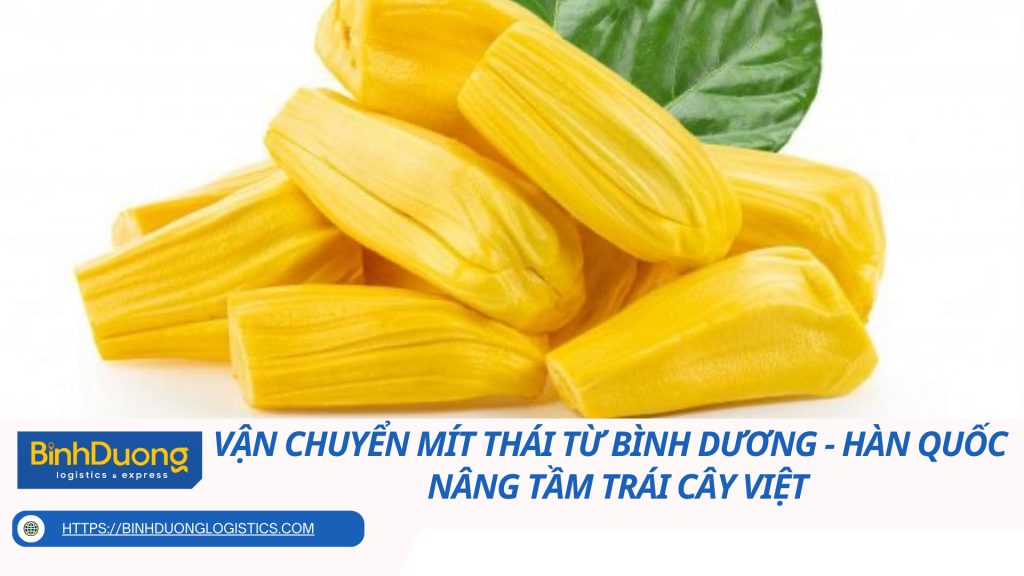 Vận chuyển mít Thái từ Bình Dương sang Hàn Quốc – Nâng tầm trái cây Việt