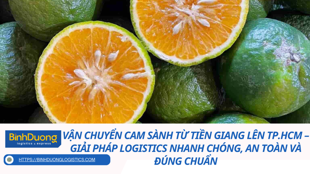 Vận chuyển cam sành từ Tiền Giang lên TP.HCM – Giải pháp logistics nhanh chóng, an toàn và đúng chuẩn