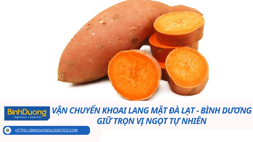 Vận chuyển khoai lang mật từ Đà Lạt về Bình Dương: Giữ trọn vị ngọt tự nhiên