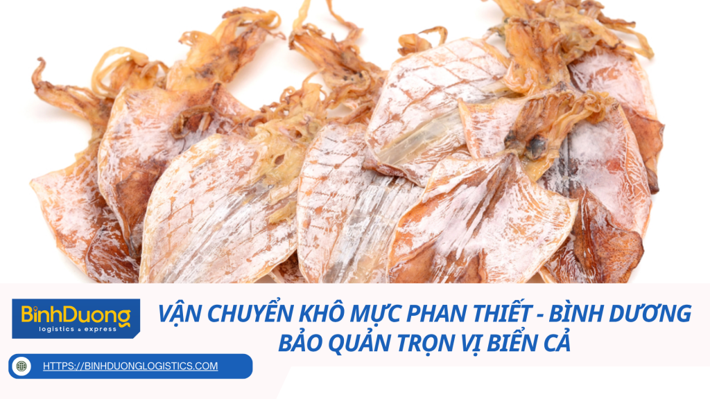 Vận chuyển khô mực từ Phan Thiết về Bình Dương – Bảo quản trọn vị biển cả
