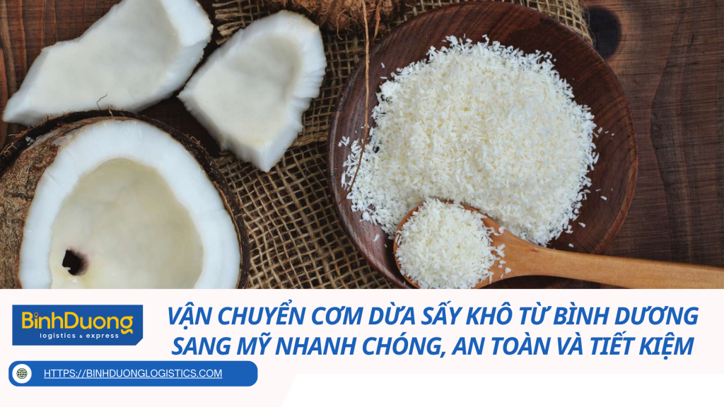 Vận chuyển cơm dừa sấy khô từ Bình Dương sang Mỹ nhanh chóng, an toàn và tiết kiệm