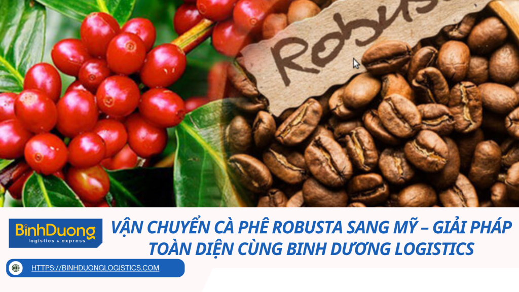 Vận Chuyển Cà Phê Robusta Sang Mỹ – Giải Pháp Toàn Diện Cùng Binh Dương Logistics