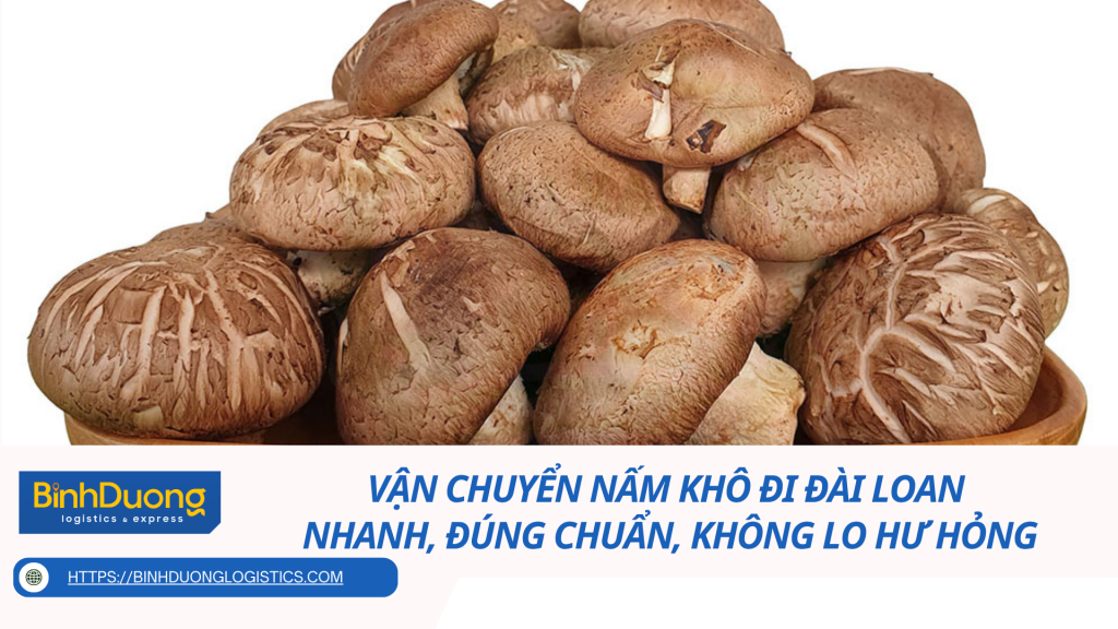 Vận chuyển nấm khô đi Đài Loan - Nhanh, đúng chuẩn, không lo hư hỏng