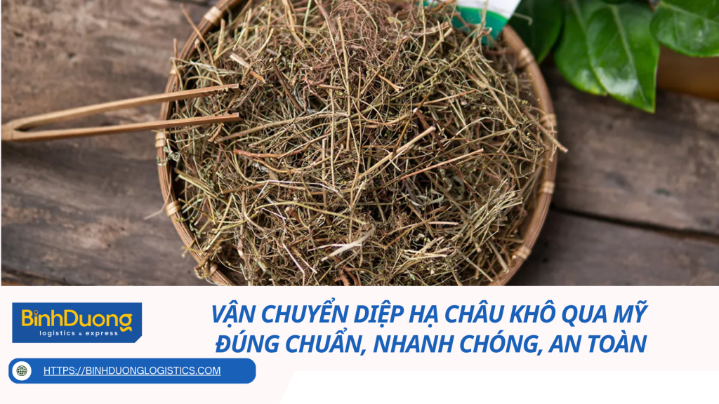 Vận chuyển diệp hạ châu khô qua Mỹ - Đúng chuẩn, nhanh chóng, an toàn