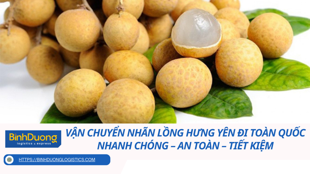 Vận Chuyển Nhãn Lồng Hưng Yên Đi Toàn Quốc Nhanh Chóng – An Toàn – Tiết Kiệm