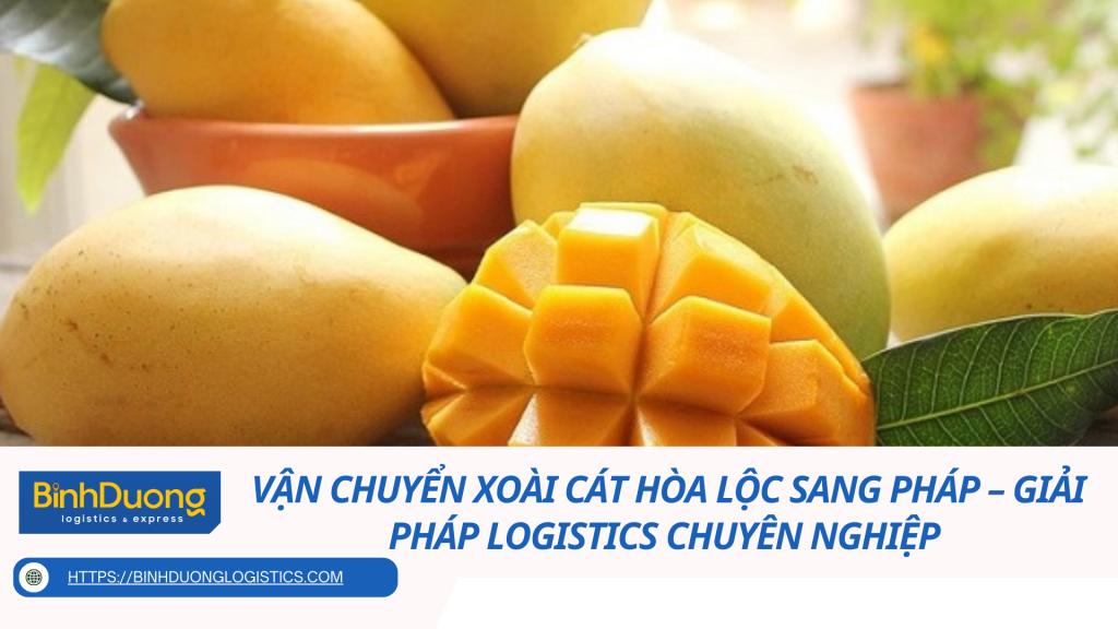 Vận chuyển xoài cát Hòa Lộc sang Pháp – Giải pháp logistics chuyên nghiệp