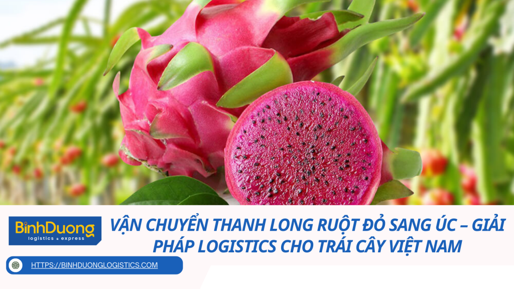 Vận chuyển thanh long ruột đỏ sang Úc – Giải pháp logistics cho trái cây Việt Nam