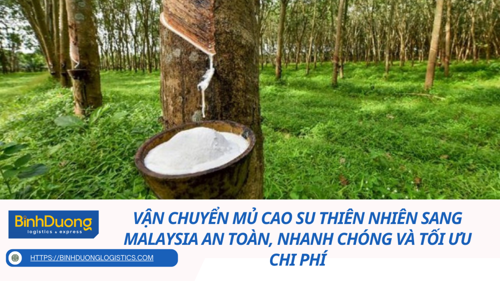 Vận chuyển mủ cao su thiên nhiên sang Malaysia an toàn, nhanh chóng và tối ưu chi phí
