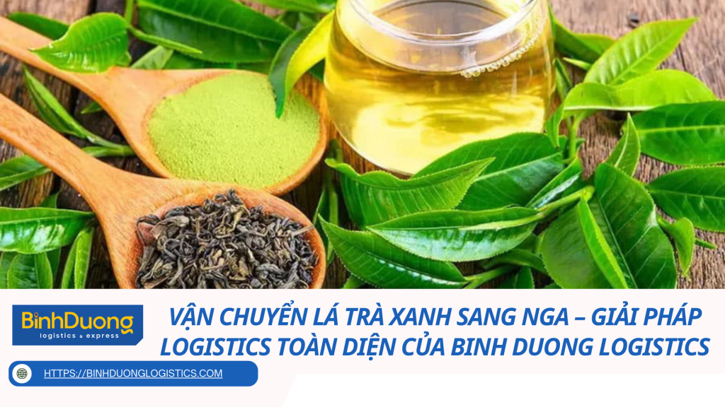 Vận chuyển lá trà xanh sang Nga – Giải pháp logistics toàn diện của Binh Duong Logistics