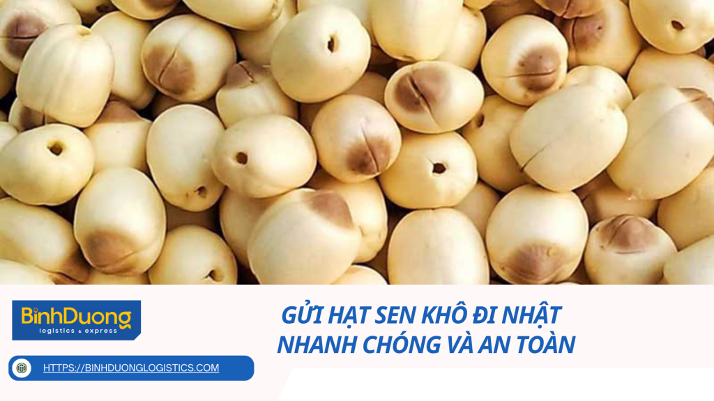 Gửi hạt sen khô đi Nhật - Nhanh chóng và an toàn