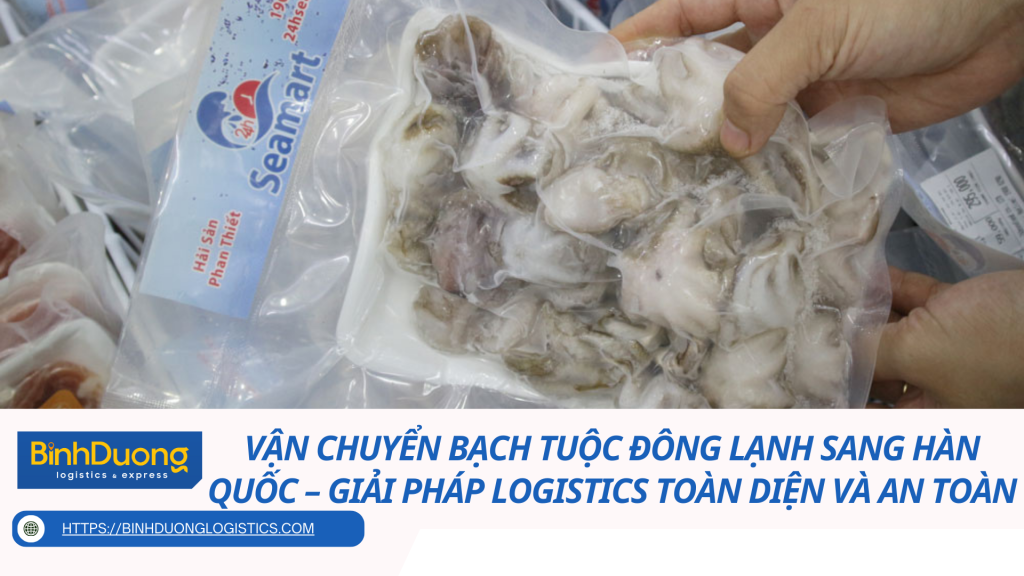 Vận chuyển bạch tuộc đông lạnh sang Hàn Quốc – Giải pháp logistics toàn diện và an toàn