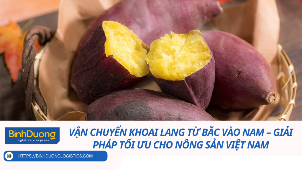 Vận chuyển khoai lang từ Bắc vào Nam – Giải pháp tối ưu cho nông sản Việt Nam