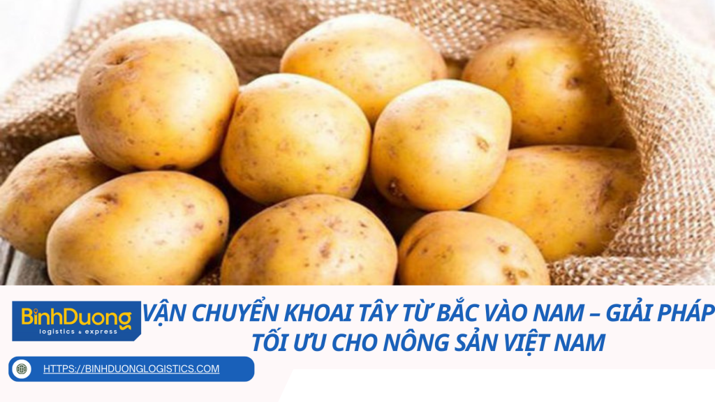 Vận chuyển khoai tây từ Bắc vào Nam – Giải pháp tối ưu cho nông sản Việt Nam