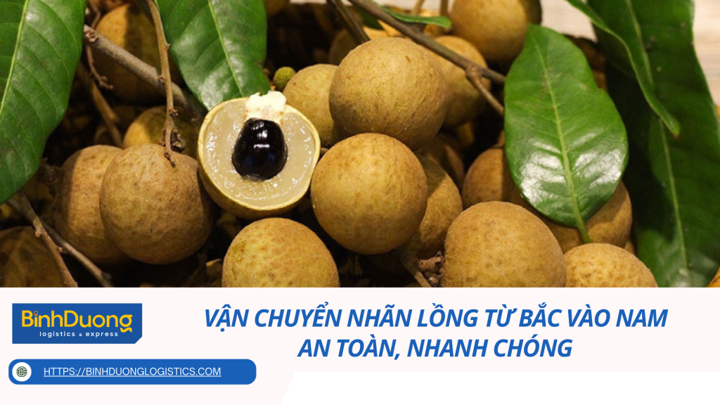 VẬN CHUYỂN NHÃN LỒNG TỪ BẮC VÀO NAM AN TOÀN, NHANH CHÓNG