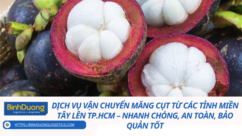 Dịch vụ vận chuyển măng cụt từ các tỉnh miền Tây lên TP.HCM – Nhanh chóng, an toàn, bảo quản tốt