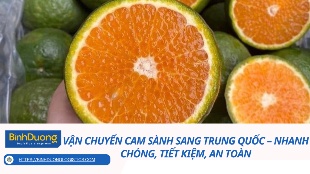 Vận Chuyển Cam Sành Sang Trung Quốc – Nhanh Chóng, Tiết Kiệm, An Toàn