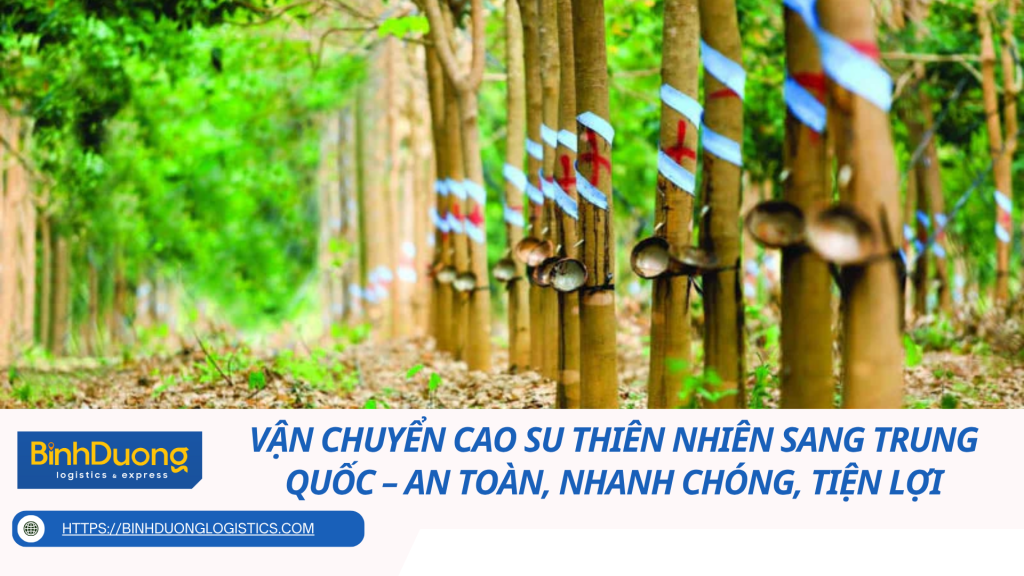 Vận Chuyển Cao Su Thiên Nhiên Sang Trung Quốc – An Toàn, Nhanh Chóng, Tiện Lợi