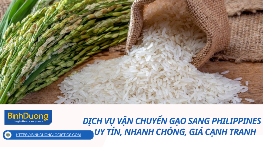Dịch vụ vận chuyển gạo sang Philippines - uy tín, nhanh chóng, giá cạnh tranh