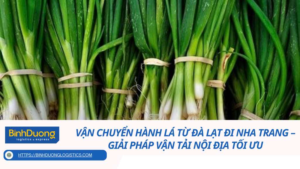 Vận chuyển hành lá từ Đà Lạt đi Nha Trang – Giải pháp vận tải nội địa tối ưu