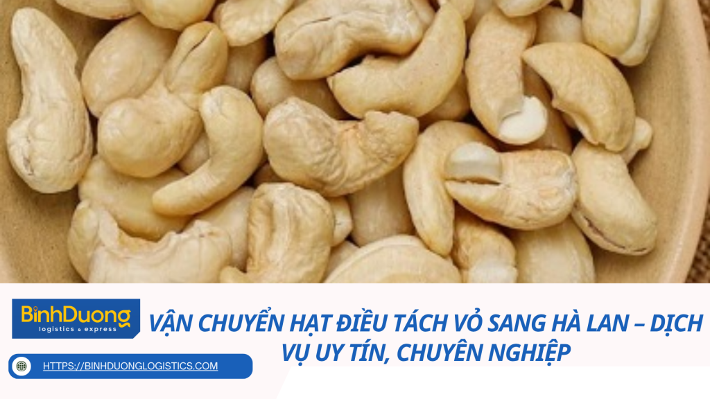 Vận Chuyển Hạt Điều Tách Vỏ Sang Hà Lan – Dịch Vụ Uy Tín, Chuyên Nghiệp