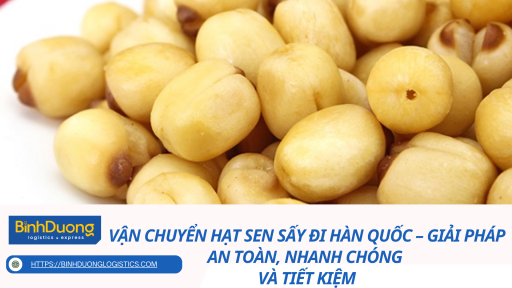 Vận chuyển hạt sen sấy đi Hàn Quốc – Giải pháp an toàn, nhanh chóng và tiết kiệm