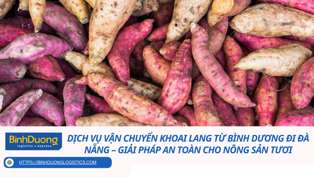 Dịch vụ vận chuyển khoai lang từ Bình Dương đi Đà Nẵng – Giải pháp an toàn cho nông sản tươi