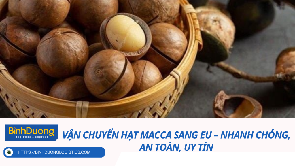 Vận Chuyển Hạt Macca Sang EU – Nhanh Chóng, An Toàn, Uy Tín