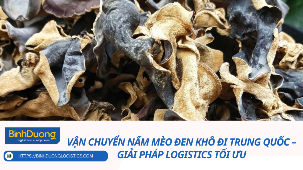 Vận Chuyển Nấm Mèo Đen Khô Đi Trung Quốc – Giải Pháp Logistics Tối Ưu