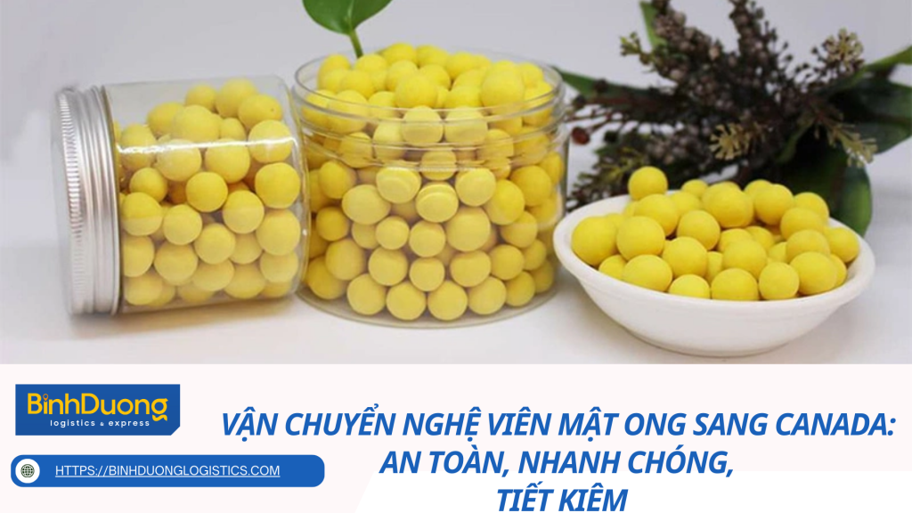 Vận Chuyển Nghệ Viên Mật Ong Sang Canada: An Toàn, Nhanh Chóng, Tiết Kiệm
