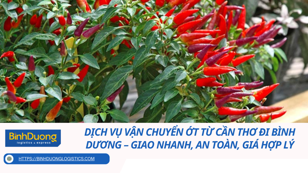 Dịch vụ vận chuyển ớt từ Cần Thơ đi Bình Dương – Giao nhanh, an toàn, giá hợp lý