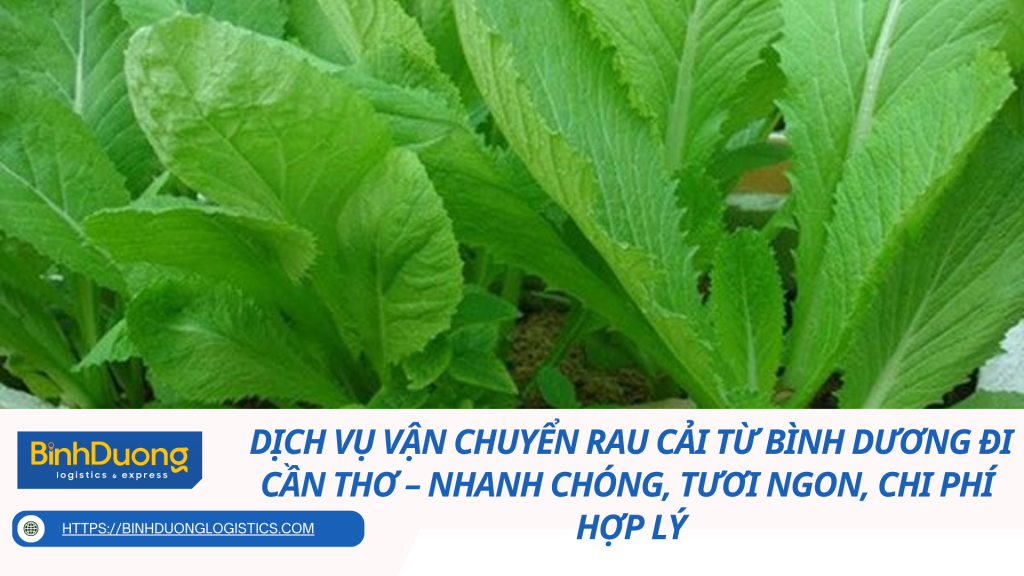 Dịch vụ vận chuyển rau cải từ Bình Dương đi Cần Thơ – Nhanh chóng, tươi ngon, chi phí hợp lý