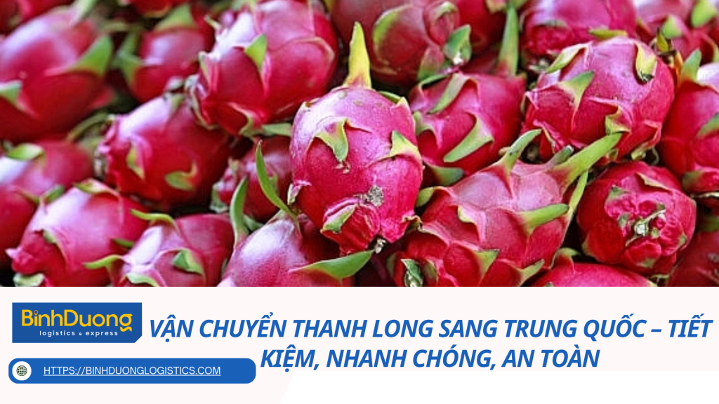 Vận Chuyển Thanh Long Sang Trung Quốc – Tiết Kiệm, Nhanh Chóng, An Toàn
