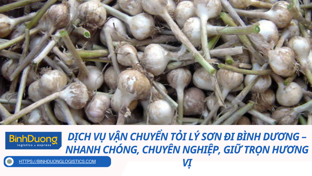 Dịch vụ vận chuyển tỏi Lý Sơn đi Bình Dương – Nhanh chóng, chuyên nghiệp, giữ trọn hương vị