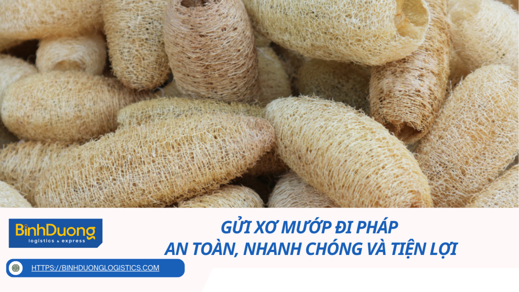 Gửi Xơ Mướp Đi Pháp – An Toàn, Nhanh Chóng Và Tiện Lợi