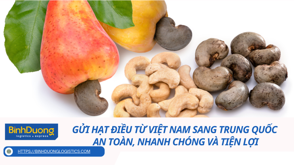 Gửi Hạt Điều Từ Việt Nam Sang Trung Quốc – An Toàn, Nhanh Chóng Và Tiện Lợi