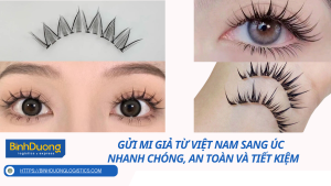 Gửi mi giả từ Việt Nam sang Úc - Nhanh chóng, an toàn và tiết kiệm