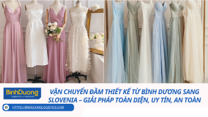 Vận Chuyển Đầm Thiết Kế Từ Bình Dương Sang Slovenia – Giải Pháp Toàn Diện, Uy Tín, An Toàn