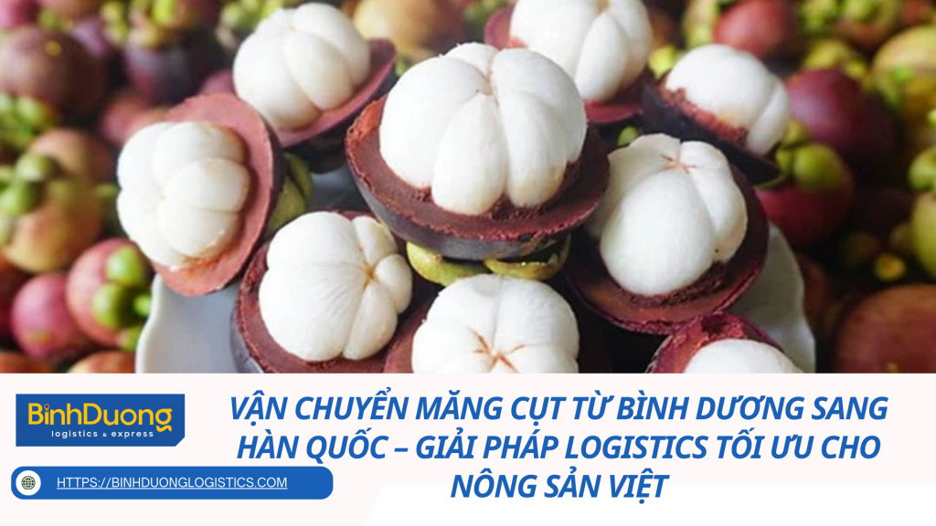 Vận chuyển măng cụt từ Bình Dương sang Hàn Quốc – Giải pháp logistics tối ưu cho nông sản Việt