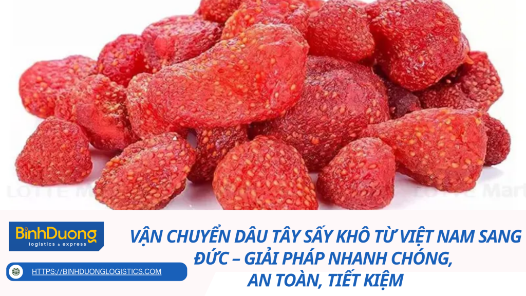 Vận Chuyển Dâu Tây Sấy Khô Từ Việt Nam Sang Đức – Giải Pháp Nhanh Chóng, An Toàn, Tiết Kiệm