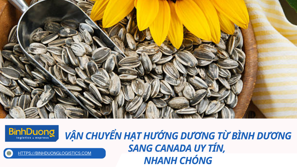 Vận chuyển hạt hướng dương từ Bình Dương sang Canada uy tín, nhanh chóng