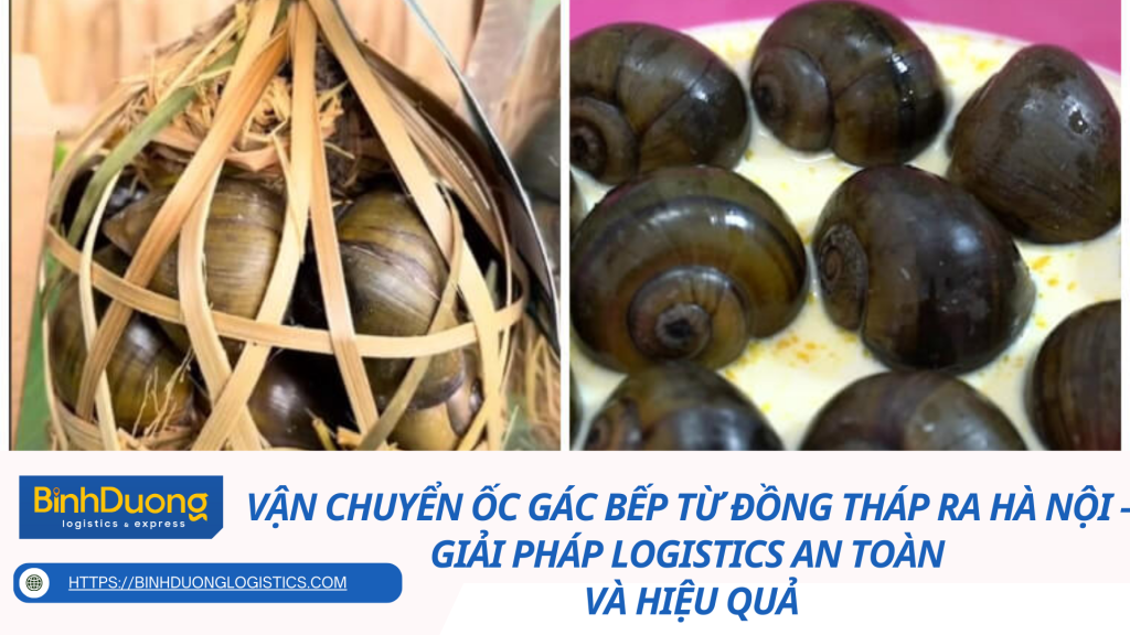 Vận chuyển ốc gác bếp từ Đồng Tháp ra Hà Nội – Giải pháp logistics an toàn và hiệu quả