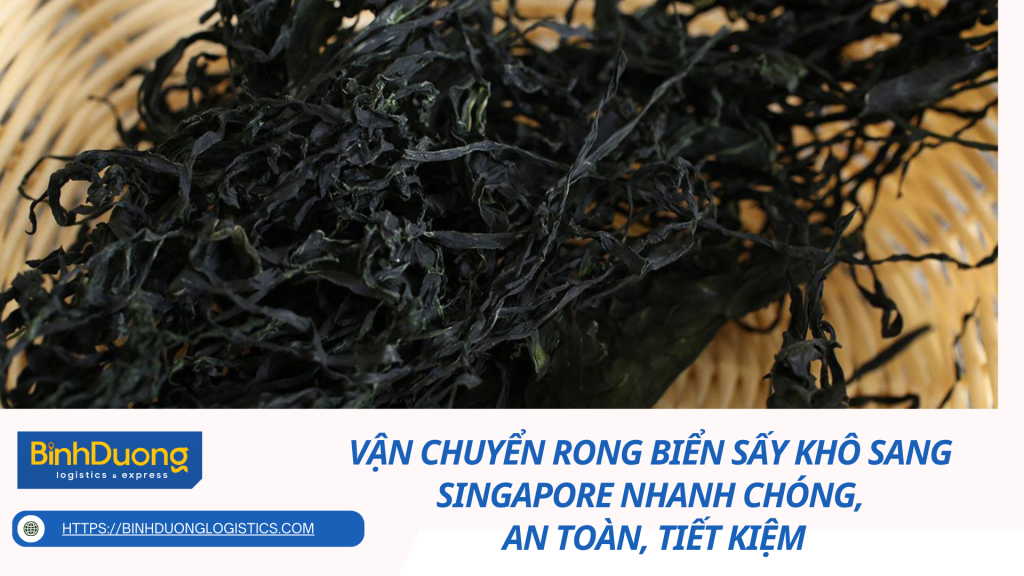 Vận chuyển rong biển sấy khô sang Singapore nhanh chóng, an toàn, tiết kiệm